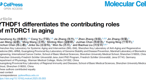 刘宝华教授团队在Molecular Cell发表YTHDF1调控衰老新机制研究成果