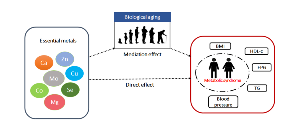 95d09d37-6dd5-4f9e-8fd7-98df450a5062