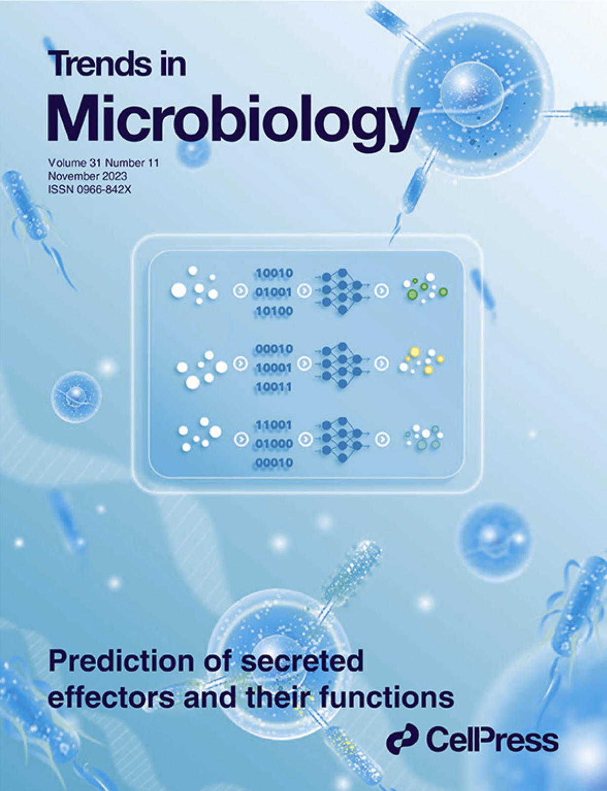 202311061436465471.png 202311061436465471.png