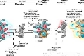 Cell plasticity and genomic instability in cancer evolution