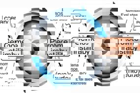 Locked in a vicious cycle: the connection between genomic instability and a loss of protein homeostasis