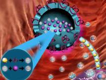 JVID
生物医学工程学院黄鹏特聘教授团队在《Angewandte Chemie International Edition》发表VIP文章