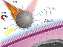 JVID
生物医学工程学院黄鹏特聘教授团队在《AdvancedMaterials》发表论文