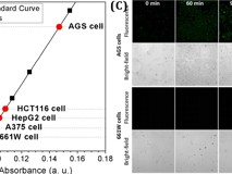 JVID
何前军教授团队在纳米气体治疗领域获得重要进展