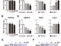 JVID
药学院程永现特聘教授团队发现没药中具有调节脂代谢活性的“马鞍形”美丽分子