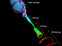 JVID
生物医学工程学院张会生教授团队孔湉湉博士在《PNAS》杂志发表研究论文