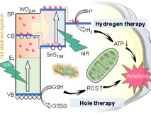 JVID
何前军教授团队在国际顶级期刊《Nature Communications》上发表重要文章