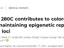 JVID
舒兴盛应颖团队PNAS发文揭示锌指蛋白转录因子促进结直肠癌发生的表观遗传学机制