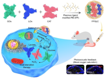 JVID
黄鹏教授团队在国际顶级学术期刊《Angewandte Chemie》发表研究论文