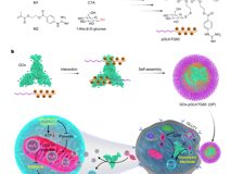 JVID
黄鹏教授团队在《Advanced Materials》发表研究论文