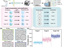 JVID
李自达助理教授在PNAS发表单分子基因检测研究成果