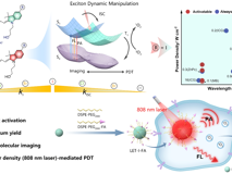 JVID
林静教授团队在Angew. Chem. Int. Ed.发表2项肿瘤精准诊疗研究成果