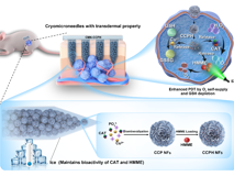 JVID
黄鹏教授团队在Advanced Materials发表新型冰微针贴片用于可视化光动力疗法的研究成果