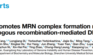 朱卫国教授团队在Cell Reports发表关于WDFY2调控DNA同源重组修复的研究成果