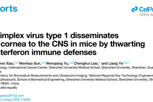 叶亮副教授团队在Cell Reports发表关于疱疹病毒传播的研究成果