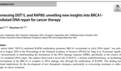 Harnessing DOT1L and RAP80: unveiling new insights into BRCA1-mediated DNA repair for cancer therapy