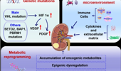 Targeted DNA damage repair: old mechanisms and new opportunities in clear cell renal cell carcinoma