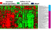 Mitochondrial dysregulation is a key regulator of gastric cancer subtype carcinogenesis