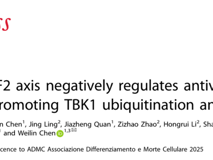 JVID
陈玮琳教授团队在 Cell Death & Differentiation发表USP43/RNF2轴调控抗病毒固有免疫研究成果