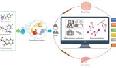 Efficient analysis of the toxicity and mechanisms of Hexaconazole and two other triazole fungicides: insights from integrated network toxicology, molecular docking and bioinformatics data