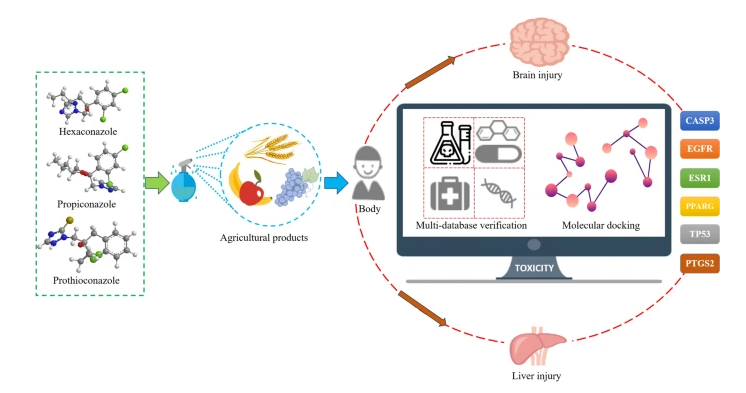 A diagram of a computer

AI-generated content may be incorrect.