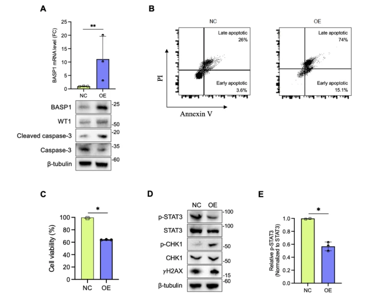 A close-up of a graph

AI-generated content may be incorrect.