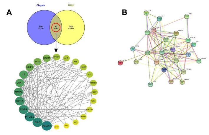 A diagram of a network

AI-generated content may be incorrect.