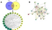 Unveiling the targets and pathways of chrysin against H1N1 through network pharmacology
