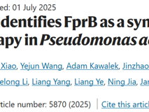 JVID
刘雪副教授在Nature Communications发表镓抗菌协同靶点研究成果