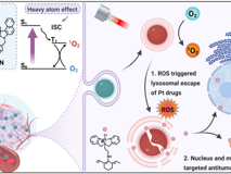 JVID
林静教授团队在Nature Index期刊Chemical Science发表铂类抗肿瘤药物协同治疗研究成果