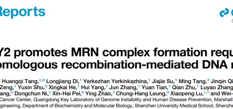 JVID
朱卫国教授团队在Cell Reports发表关于WDFY2调控DNA同源重组修复的研究成果