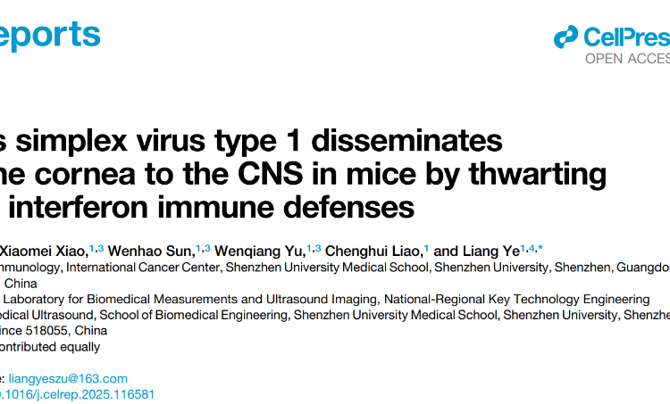 JVID
叶亮副教授团队在Cell Reports发表关于疱疹病毒传播的研究成果