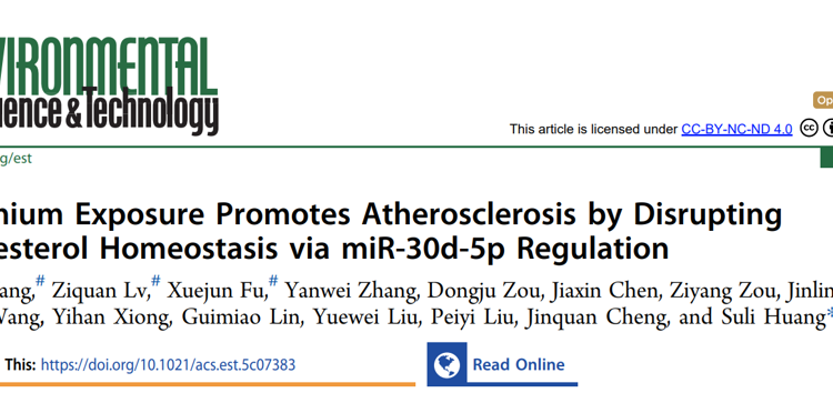 JVID
黄素丽副教授团队在自然指数期刊Environmental Science & Technology发文解析重金属镉暴露致缺血性脑卒中的新机制
