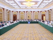 第416期双清论坛“工程与材料视角下的医工融合与创新发展”召开