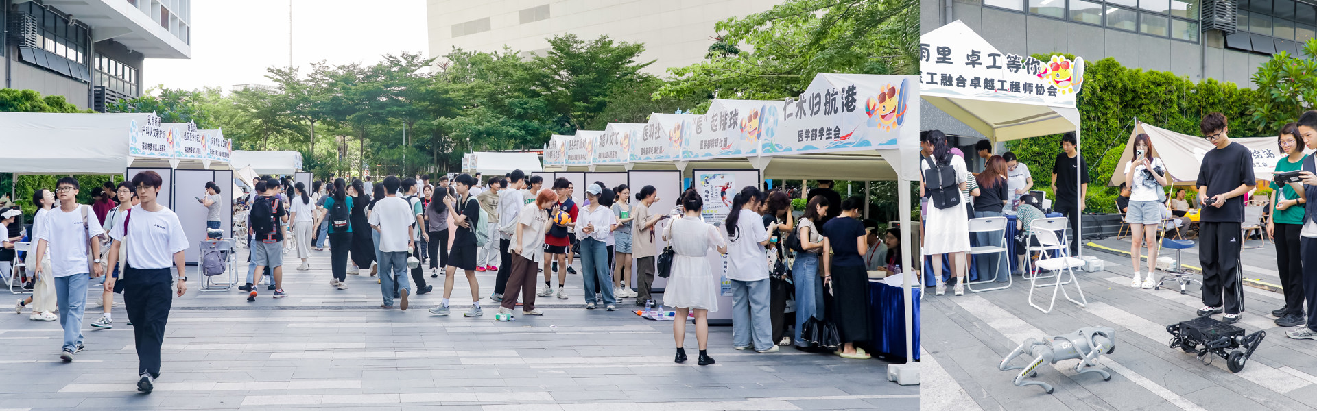 医海初扬帆  仁术启新程——2025年医学人文街