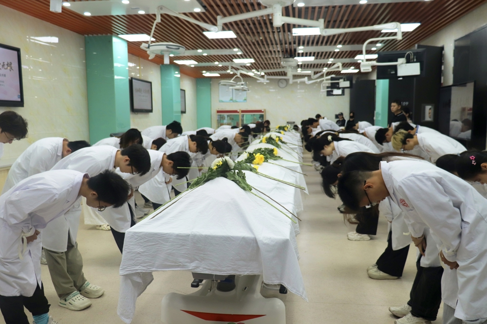 ec294a08803b78915d15425e50893112